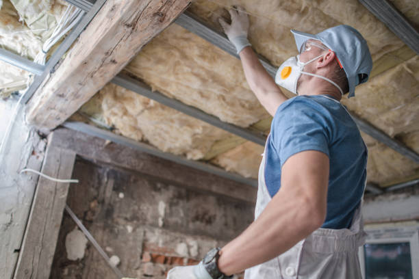 Best Geographic-Specific Insulation Services in Tulia, TX